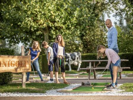 Viel Spaß beim Golfen auf dem Minigolfplatz des Ferienparks Landal Stroombroek