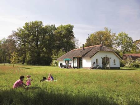 Freistehendes Ferienhaus im Ferienpark Landal Twenhaarsveld