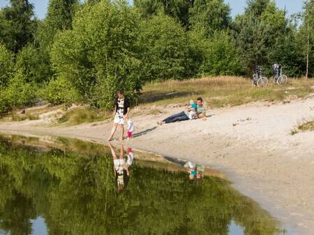 Hundeschwimmbereich für Hunde im Ferienpark Landal Twenhaarsveld