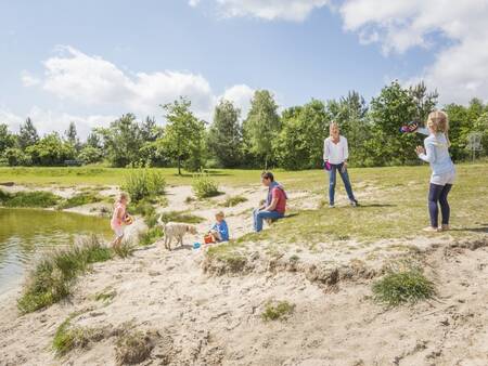 Swimmingpool für Hunde im Ferienpark Landal Twenhaarsveld