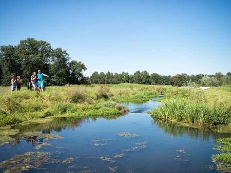 Umgebung des Ferienparks Landal Waterpark De Alde Feanen