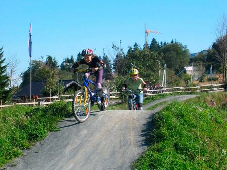 Die Umgebung des Ferienparks Landal Winterberg eignet sich perfekt zum Mountainbiken