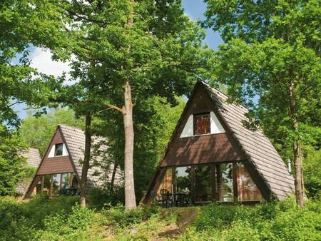 Ferienhäuser im Wald im Ferienpark Landal Wirfttal