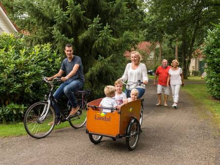 Im Ferienpark Landal De Vlegge