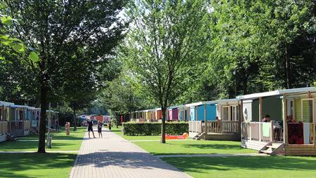 Freistehende Chalets an einem Weg im Ferienpark Molecaten Bosbad Hoeven