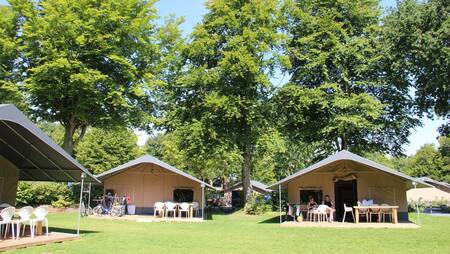 Safarizelte auf einem Feld im Ferienpark Molecaten Bosbad Hoeven