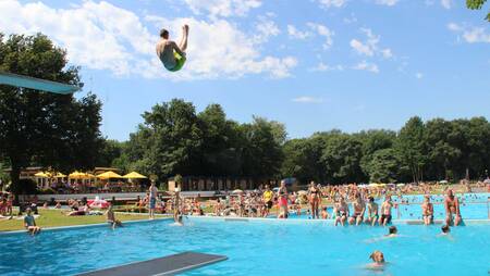 Junge springt vom Sprungbrett im Außenpool des Ferienparks Molecaten Bosbad Hoeven