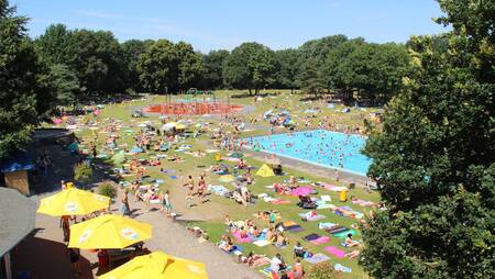 Luftaufnahme des Außenpools mit Liegewiese des Ferienparks Molecaten Bosbad Hoeven