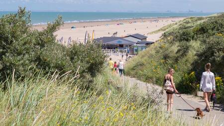 Der Ferienpark Molecaten Hoogduin liegt nur wenige Gehminuten von der Küste Zeelands entfernt