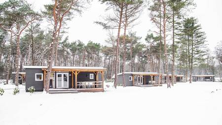 Winterfoto von Chalets im Schnee im Ferienpark Molecaten Park De Koerberg