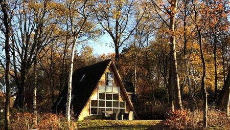 Ferienhaus für 4 Personen vom Typ "Goudhaan" im Ferienpark Molecaten Park De Koerberg