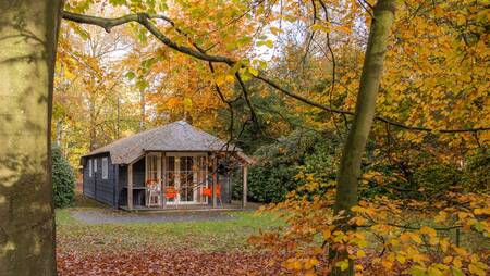 Ferienhaus vom Typ "Sprengen" mit überdachter Terrasse im Ferienpark Molecaten Park De Leemkule