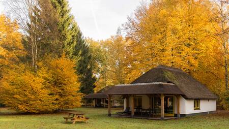 Ferienhaustyp „Buitengoed“ mit Reetdach im Ferienpark Molecaten Park De Leemkule