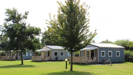 Chalets mit überdachter Veranda vom Typ "Karekiet" im Ferienpark Molecaten Park Flevostrand