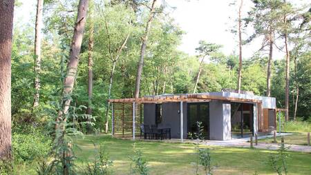 Ferienhaus vom Typ „Lärchen“ im Ferienpark Molecaten Park Landgoed Ginkelduin