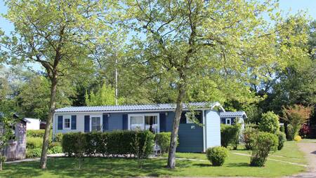 Chalets vom Typ "Zilvermeeuw" in einer Gasse im Ferienpark Molecaten Park Wijde Blick