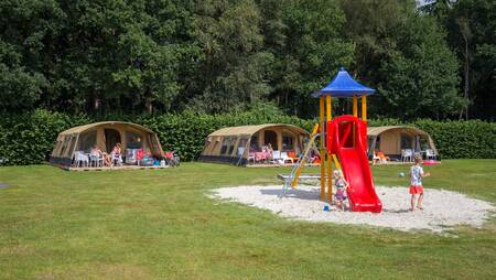 Molecaten-Zelte auf einem Feld mit Spielplatz im Ferienpark Molecaten Park 't Hout