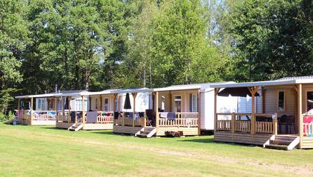 Chalets vom Typ "Merel" auf einem Feld im Ferienpark Molecaten het Landschap