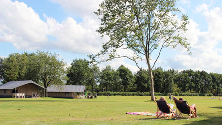Menschen auf Liegestühlen auf einem Feld mit Safarizelten im Ferienpark Molecaten het Landschap