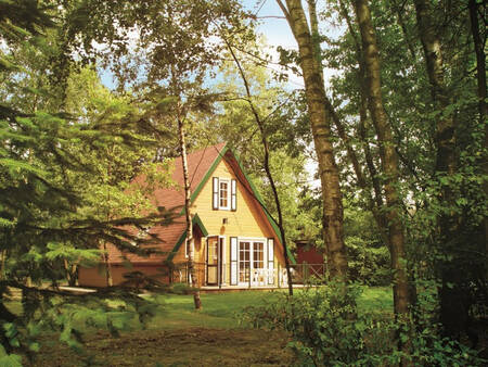 Freistehendes Ferienhaus zwischen den Bäumen im Ferienpark Park Molenheide