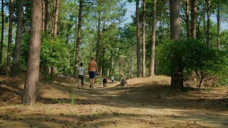 Wandern im angrenzenden Wild- und Wanderpark neben dem Ferienpark Park Molenheide