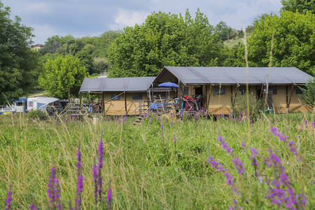 Safarizelte auf einem Feld im Ferienpark RCN Le Moulin de la Pique