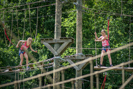 Kinder auf dem Kletterstangenparcours im Ferienpark RCN de Roggeberg