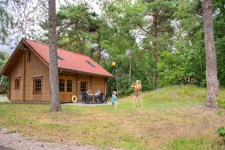 Bungalow Sparrendaal im Ferienpark RCN het Grote Bos