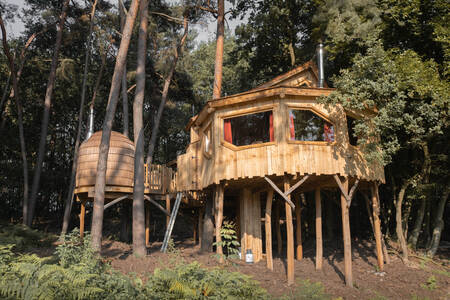 Ein attraktives Baumhaus zwischen den Baumwipfeln im Warredal Recreational Park