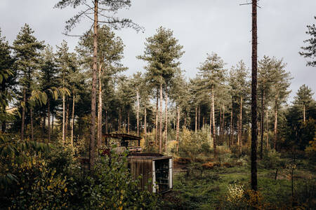 Hütte zwischen den Bäumen im Wald im Ferienpark Warredal