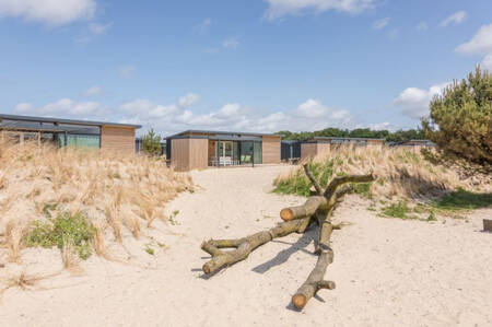 Ferienhäuser zwischen den Dünen im Ferienpark Roompot Ameland