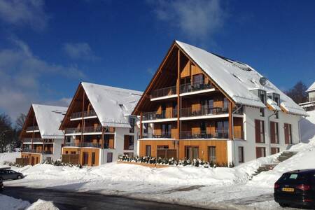 Mehrfamilienhäuser im Schnee im Roompot Bergresort Winterberg
