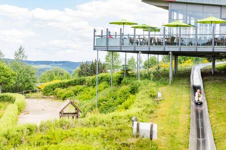 Menschen auf der Rodelbahn beim Roompot Bergresort Winterberg