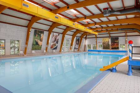 Das Hallenbad und die Rutsche im Ferienpark Roompot Bospark Lunsbergen