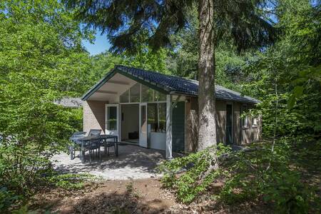 Ein Ferienhaus zwischen den Bäumen im Ferienpark Roompot Bospark de Schaapskooi