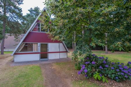 Ein freistehendes Ferienhaus im Ferienpark Roompot Bospark 't Wolfsven