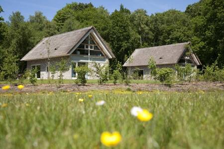 2 Ferienhäuser mit Reetdach im Roompot-Ferienpark Buitenplaats De Marke van Ruinen