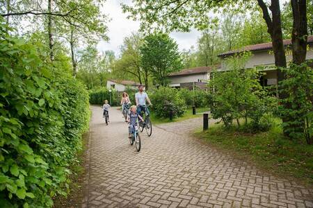 Die Familie radelt durch den bewaldeten Ferienpark Roompot Bungalowpark Hoenderloo