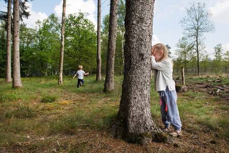 Kinder spielen in den Wäldern der Veluwe rund um den Roompot Bungalowpark Hoenderloo