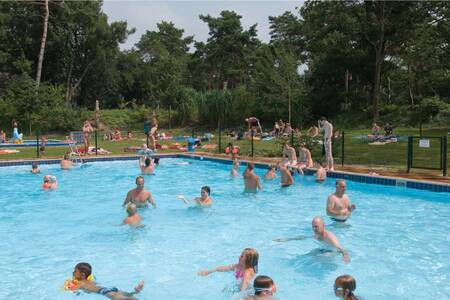 Menschen schwimmen im Außenpool des Ferienparks Roompot De Katjeskelder