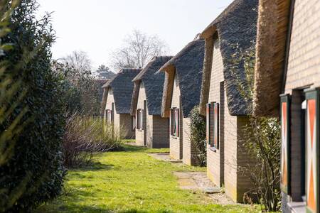 Reetgedeckte Cottages im Ferienpark Roompot De Veluwse Hoevegaerde