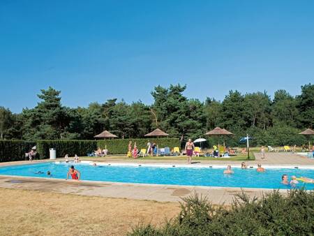 Menschen schwimmen im Außenpool des Ferienparks Roompot De Veluwse Hoevegaerde