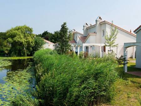 Bungalows mit mediterranem Flair im Ferienpark Roompot Duinresort Dunimar