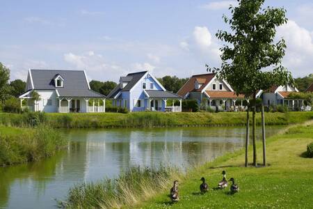 Freistehende Ferienhäuser im Roompot Ferienpark Aquadelta