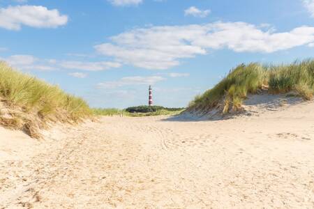 Strand und Dünen von Ameland