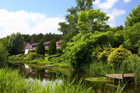 Ferienhäuser und Steg am Wasser im Roompot Ferienpark Emslandermeer