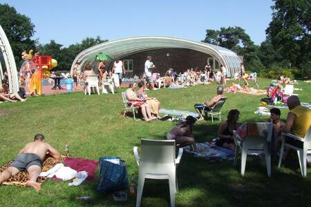 Die Liegewiese am Swimmingpool des Roompot Ferienparks Herperduin