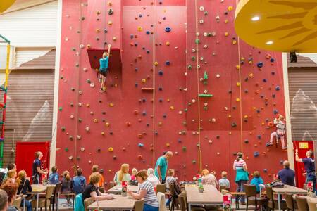 Große Kletterwand im Roompot Ferienpark Weerterbergen