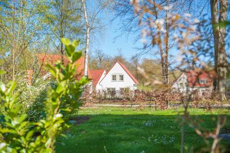 Ferienhäuser im Grünen im Ferienpark Roompot Ferienresort Bad Bentheim