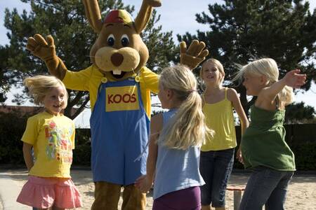 Das Kaninchen-Unterhaltungsprogramm Koos des Ferienparks Roompot Hof Domburg